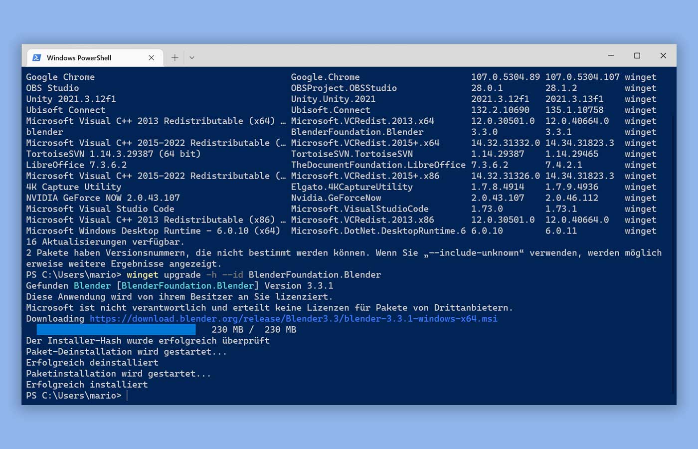 Programme installieren und aktualisieren aus dem WindowsTerminal mit winget URBAN BASE Code